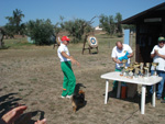 Immagine5
