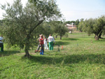 Immagine111