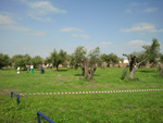 Immagine111